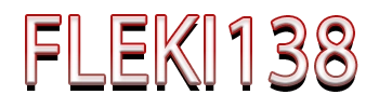 FLEKI138 Logo